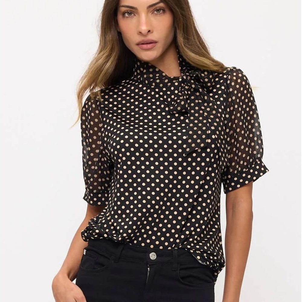 Polka Dot Tie Neck Black Blouse